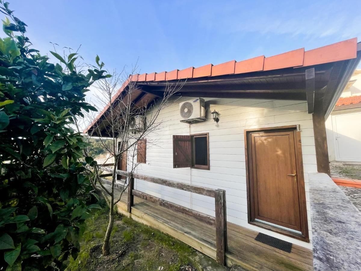 Jantesta Guest House Coimbra Ngoại thất bức ảnh