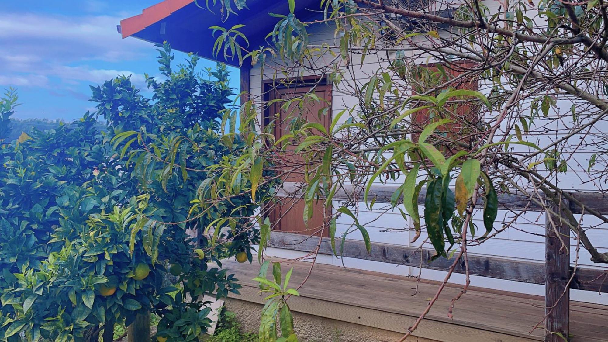 Jantesta Guest House Coimbra Ngoại thất bức ảnh